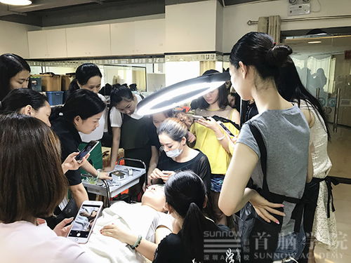 合肥技術(shù)咨詢與推廣服務費發(fā)票開具指南