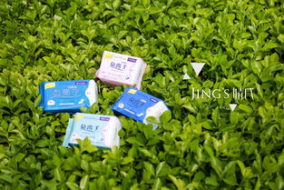 聚米婧氏 創(chuàng)新健康生活日用品，引領(lǐng)品質(zhì)生活新潮流